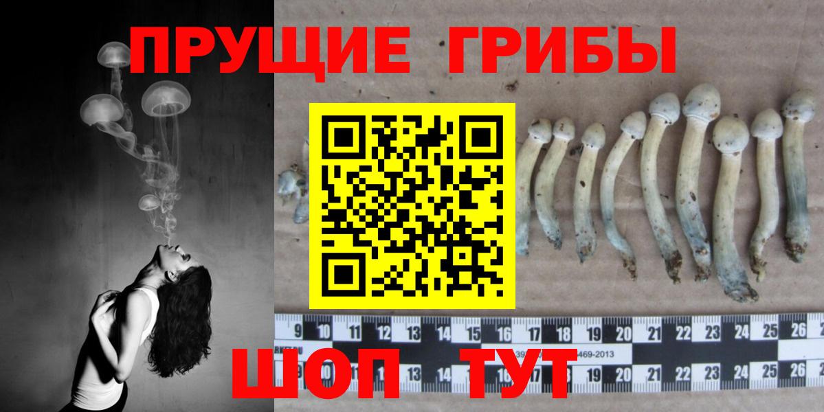 Усолье-Сибирское  Галлюциногенные грибы прущие грибы  Псилоцибиновые грибы Cubensis  Вход с VPN 